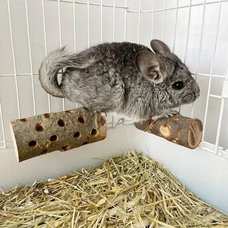 Apple Wood Chew Toy for Small Pets 3