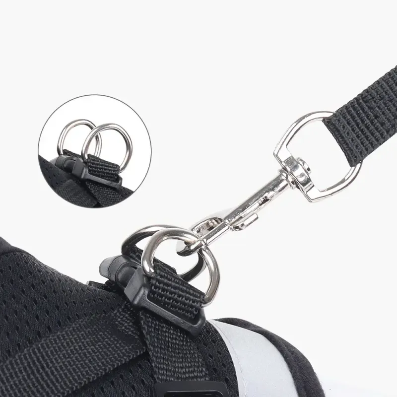 Escape Proof Cat Harness Leash Set 6