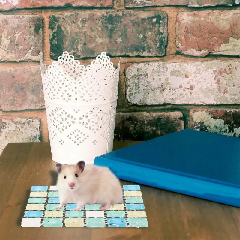 Hamster Cooling Mat Summer Pet Pad 6