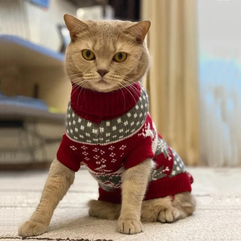 Sphynx Cat Winter Sweater Pullover 3