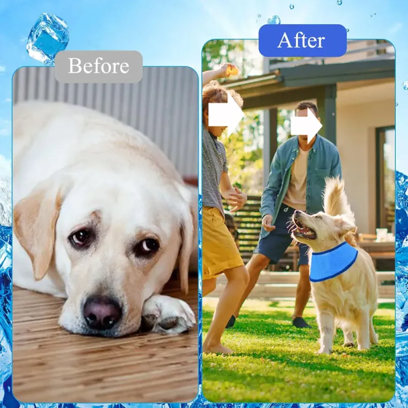 Summer Cooling Ice Collar for Pets 5