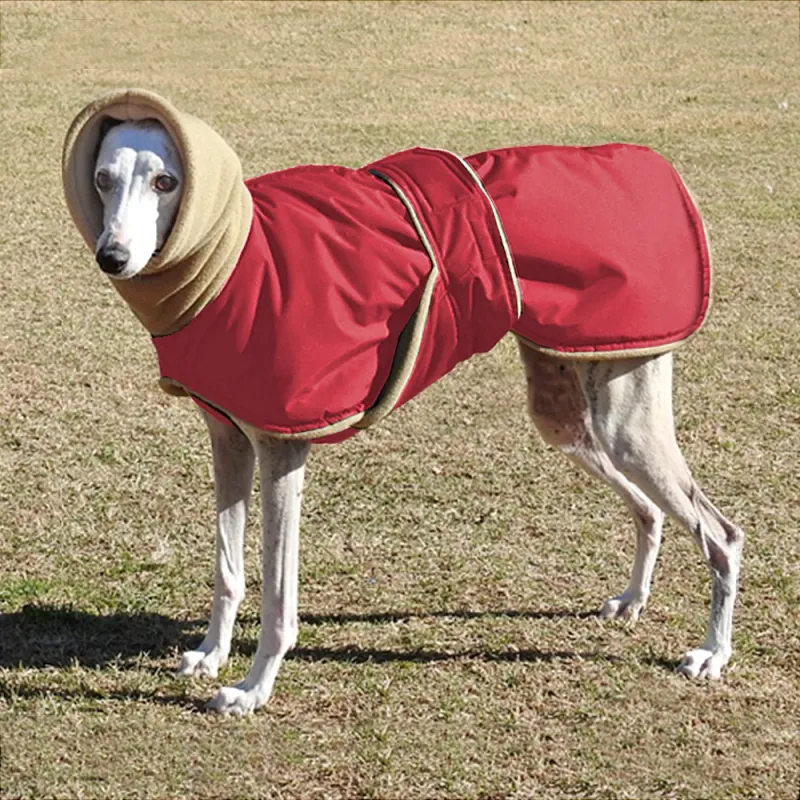 Waterproof Winter Dog Coat for Large Dogs 1