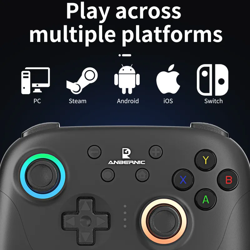 ANBERNIC RG P01 Retro Game Controller 2