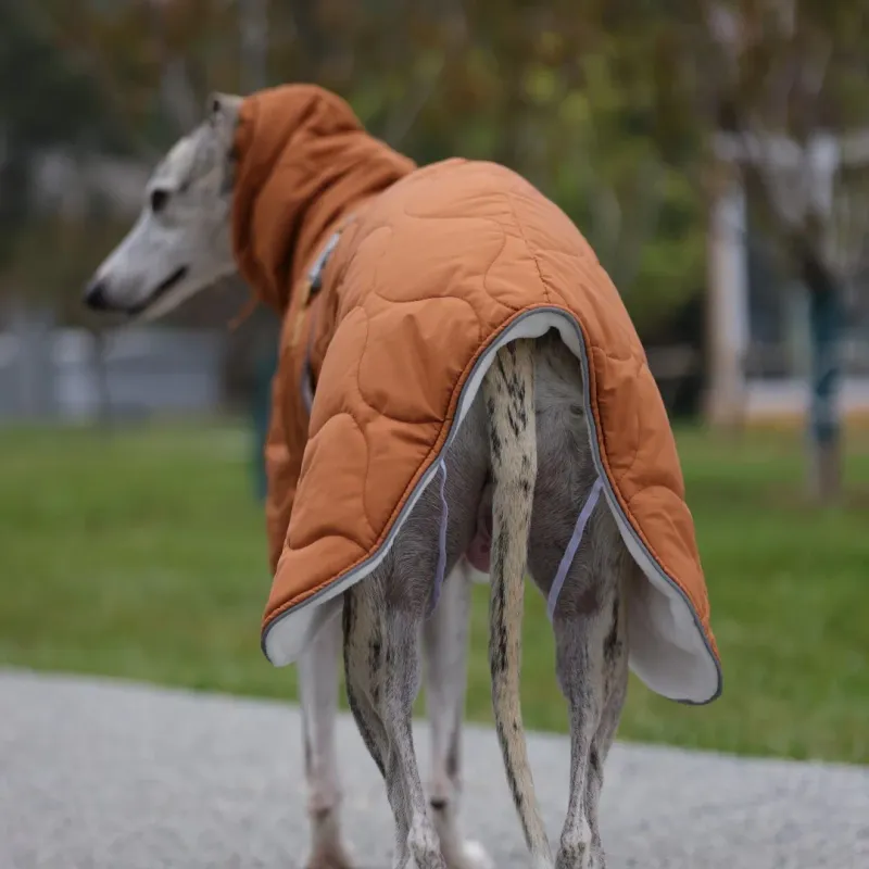 Waterproof Winter Dog Jacket with Adjustable Straps 6