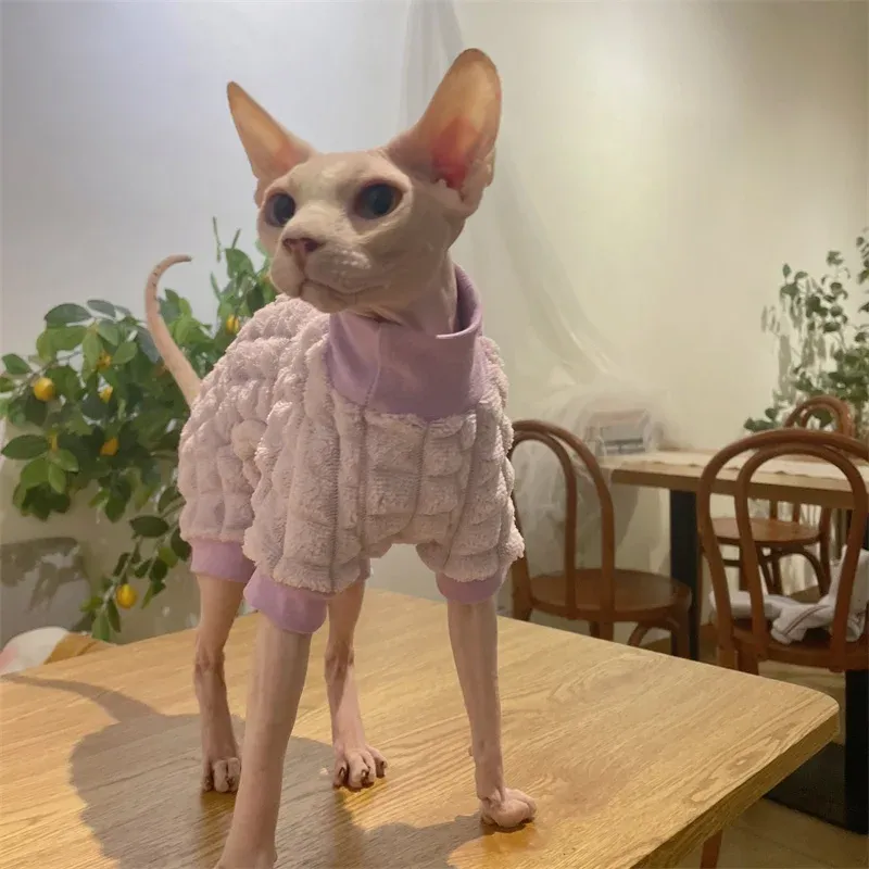 Sphynx Cat Fleece Turtleneck Sweater 2