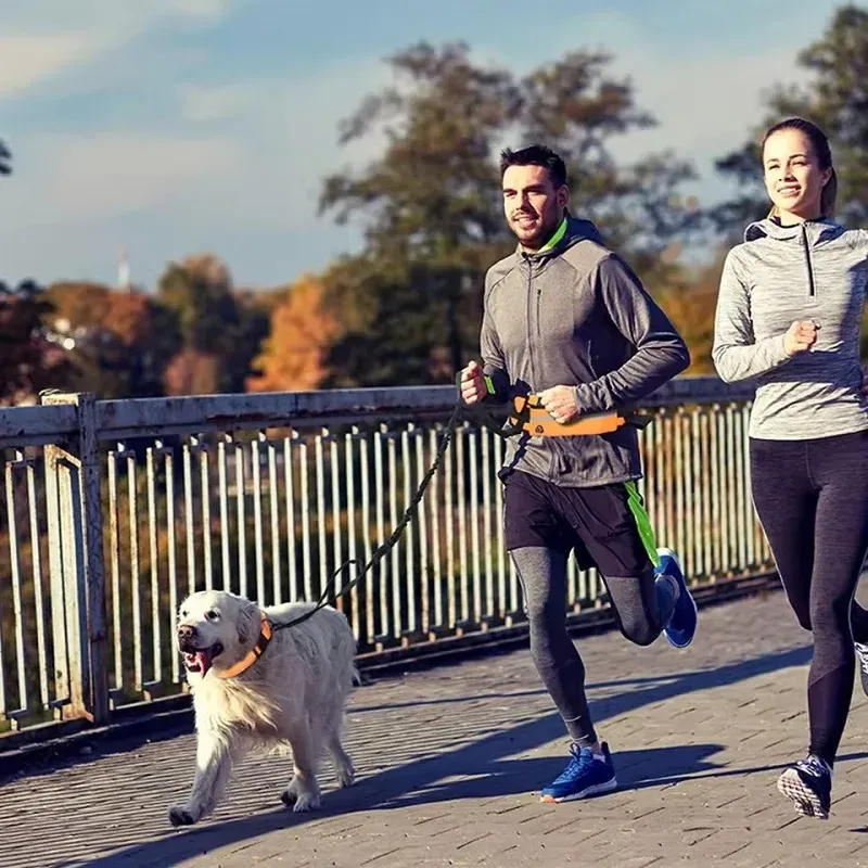 Hands Free Retractable Dog Leash with Waist Bag 6