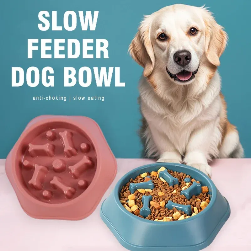 Anti-Choking Slow Feeder Dog Bowl 3