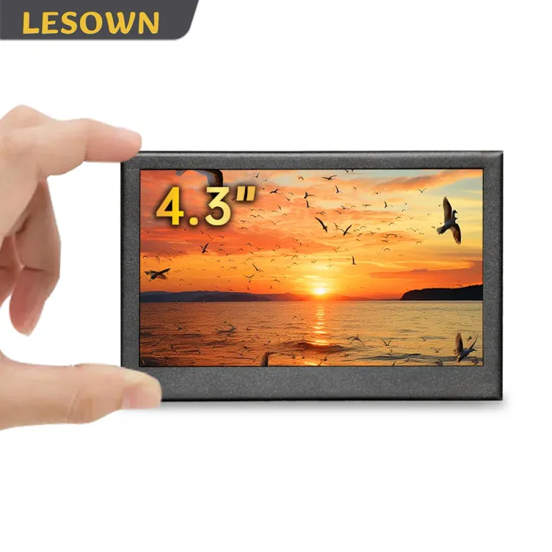 LESOWN 4.3" Portable Display 1