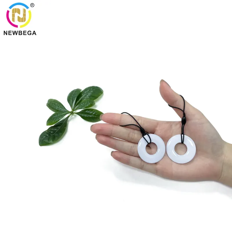 5PCS NFC Epoxy Keychain Tags 4