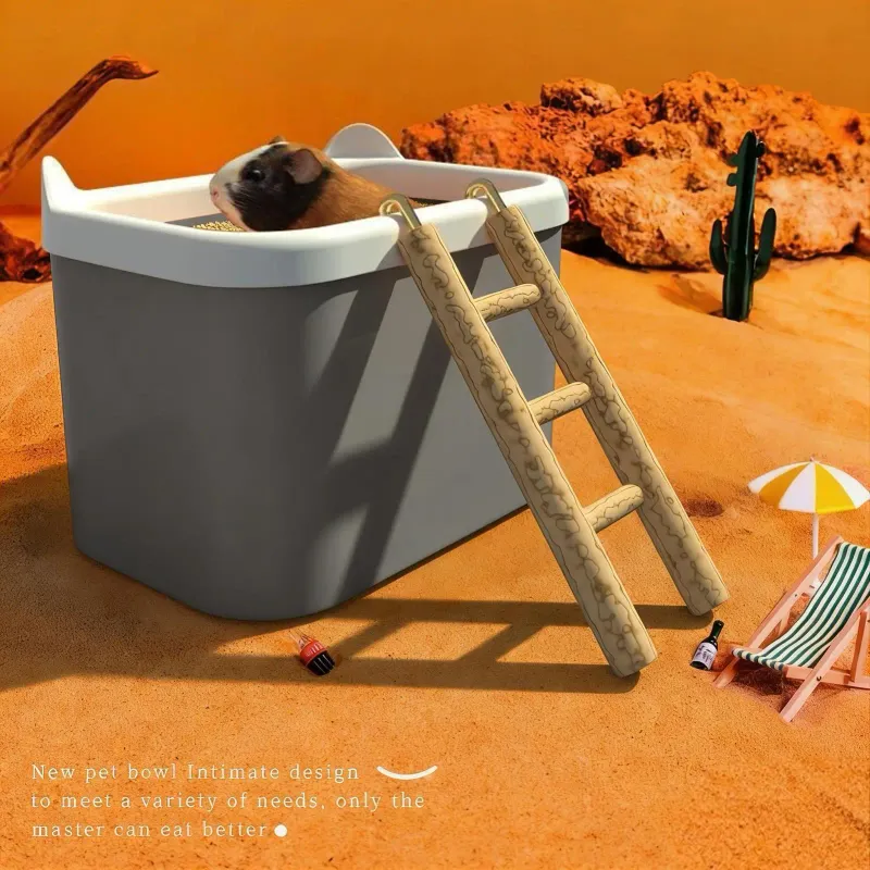 Hamster Sand Bath Box with Ladder 4