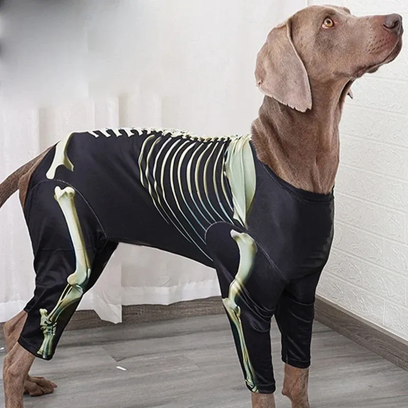 Skeleton Dog Halloween Costume Large 4