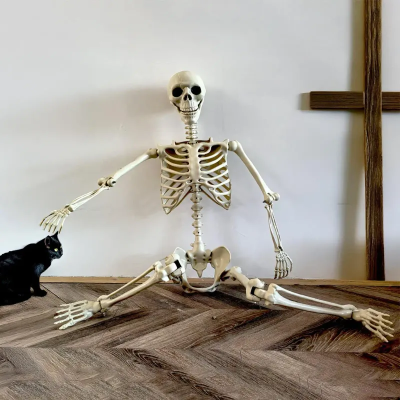 Life-Size Posable Skeleton Halloween Prop 4
