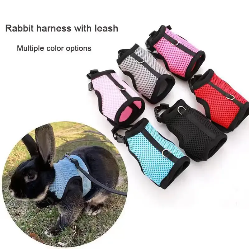 Breathable Small Pet Harness & Leash Set 1