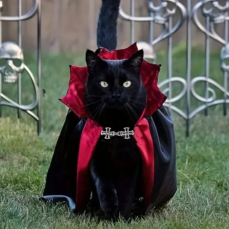 Vampire Cat Halloween Costume Set 2