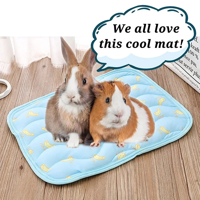 Small Animal Cooling Mat 6