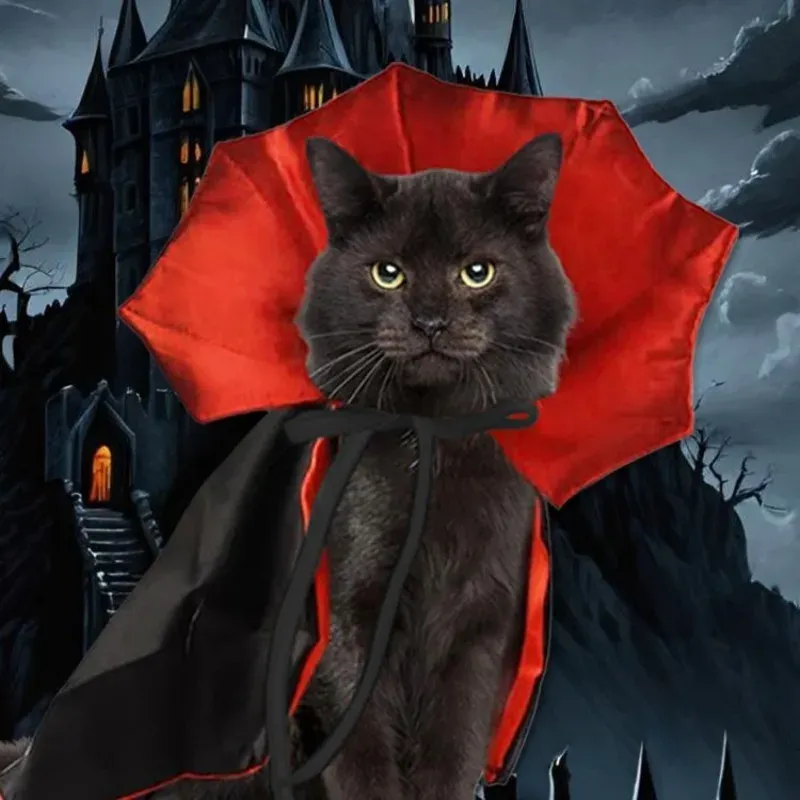Halloween Bat Wing Pet Cape Costume 2