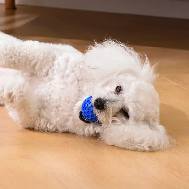 Tough Rubber Squeaky Dog Chew Ball 3
