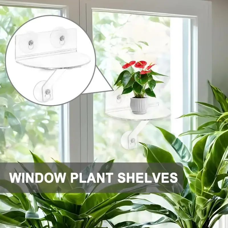 Acrylic Window Plant Shelf 1