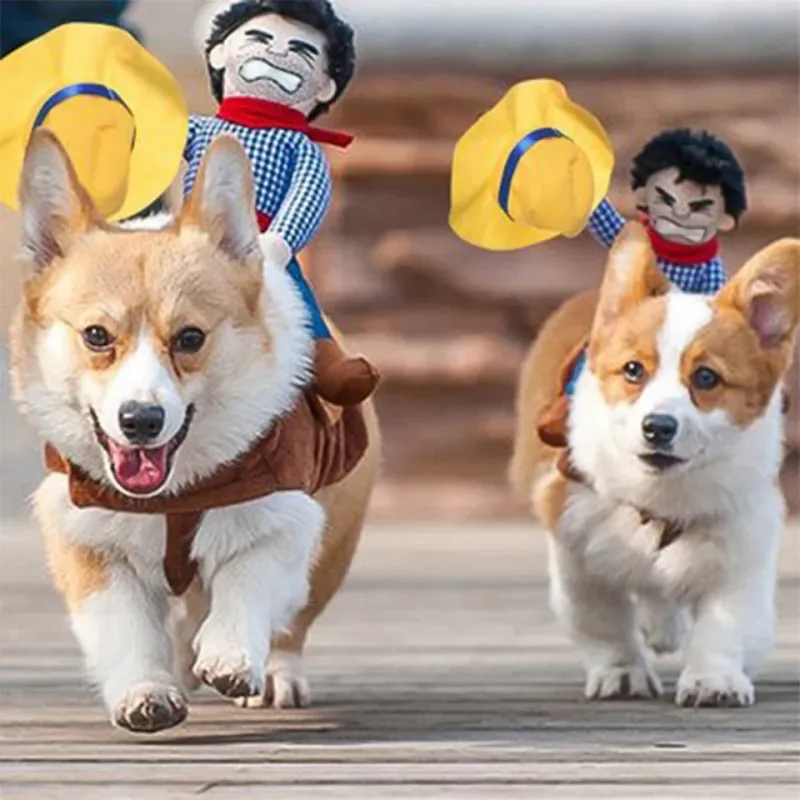 Funny Cowboy Halloween Dog Jacket Costume 4