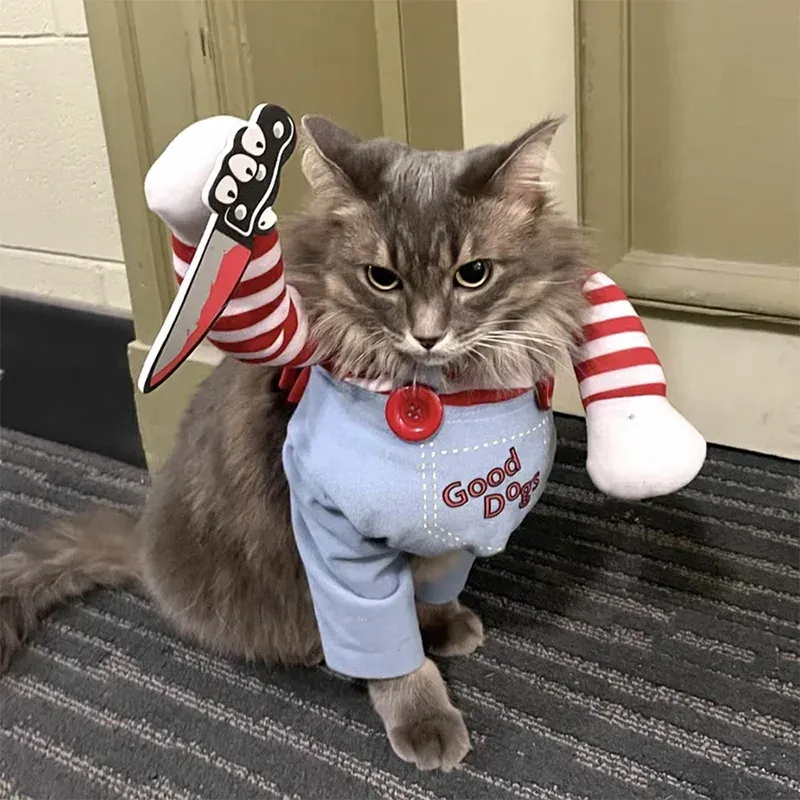 Halloween Funny Pet Costume 5