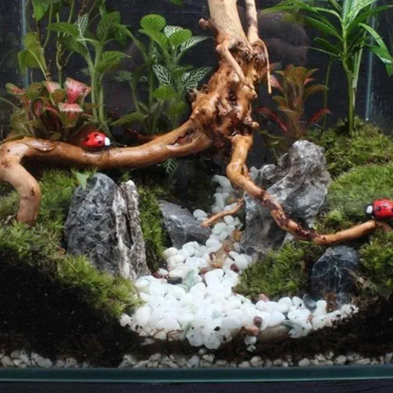 Natural Driftwood Aquarium Ornament 3