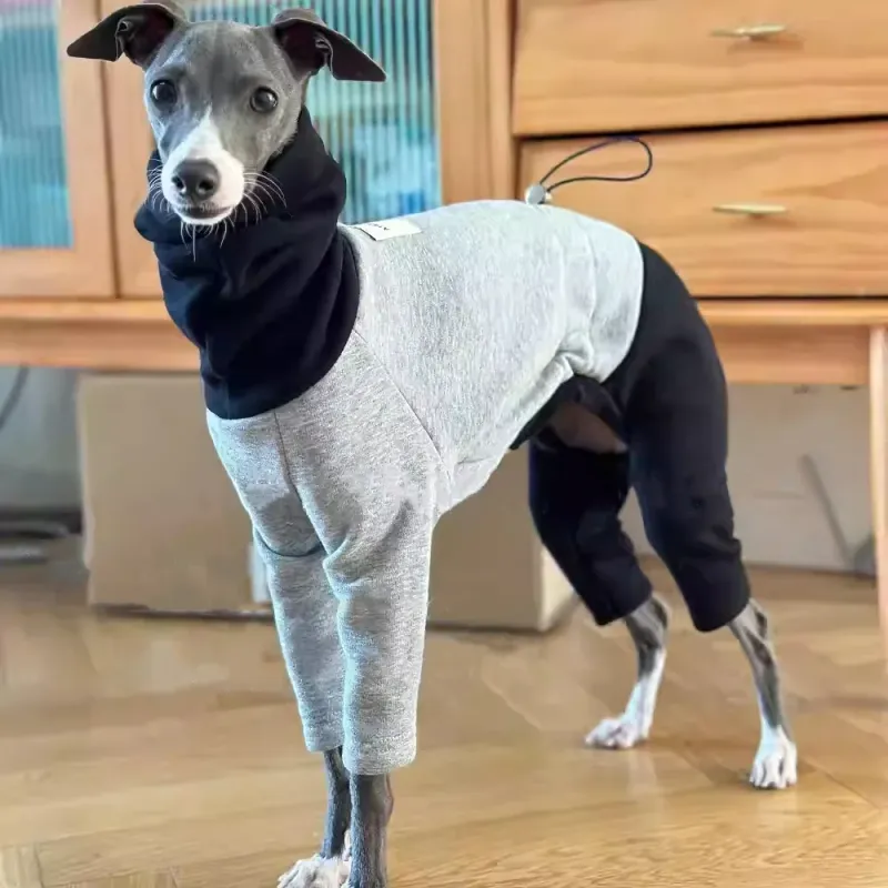 Yellow Fleece Dog Winter Sweatshirt 5