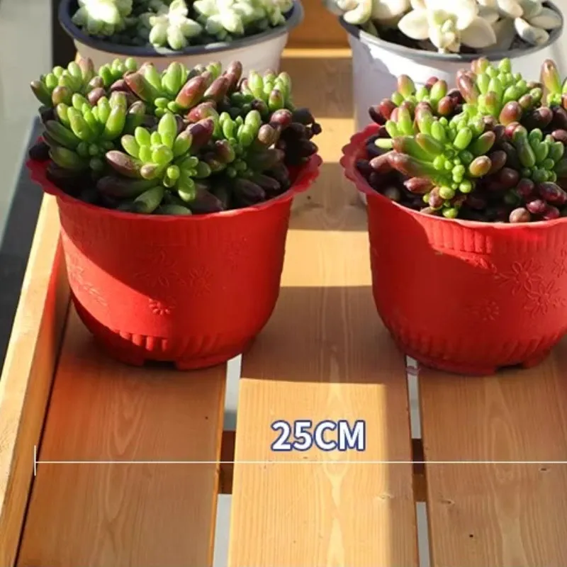 Wooden Wall Plant Shelf 4