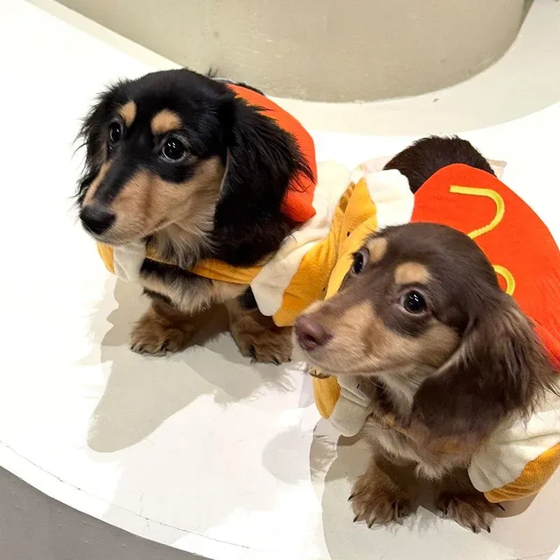 Hot Dog Halloween Dog Costume 5