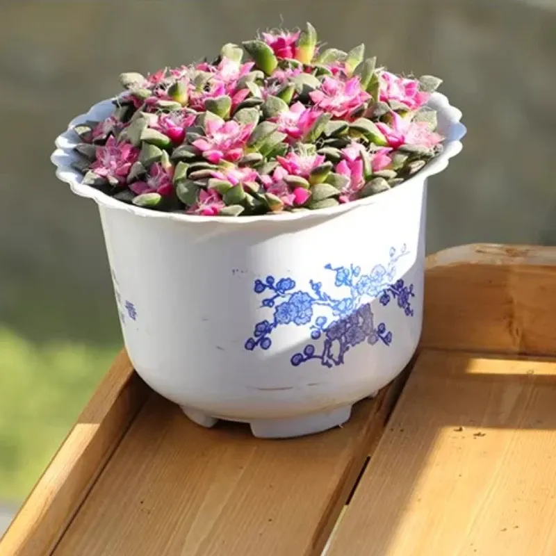 Wooden Wall Plant Shelf 3