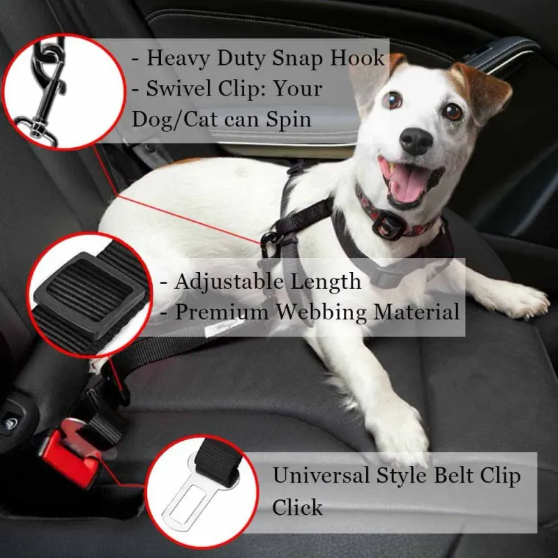 Car Seat Belt Dog Leash 4