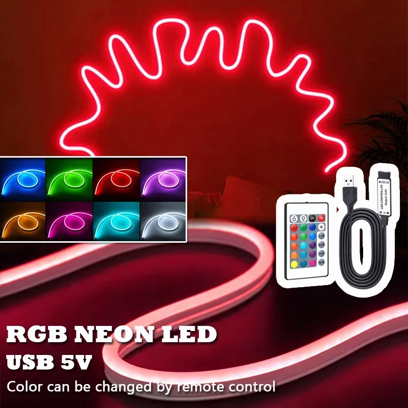 RGB LED Neon Rope Lights with Remote 1