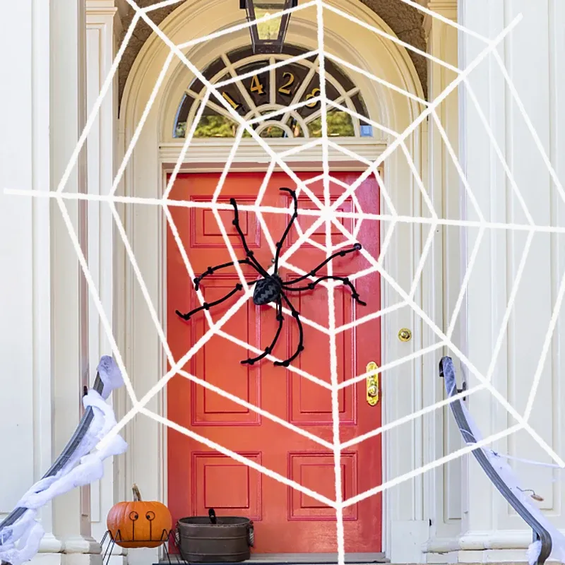 Halloween Giant Spider Web Decoration 1