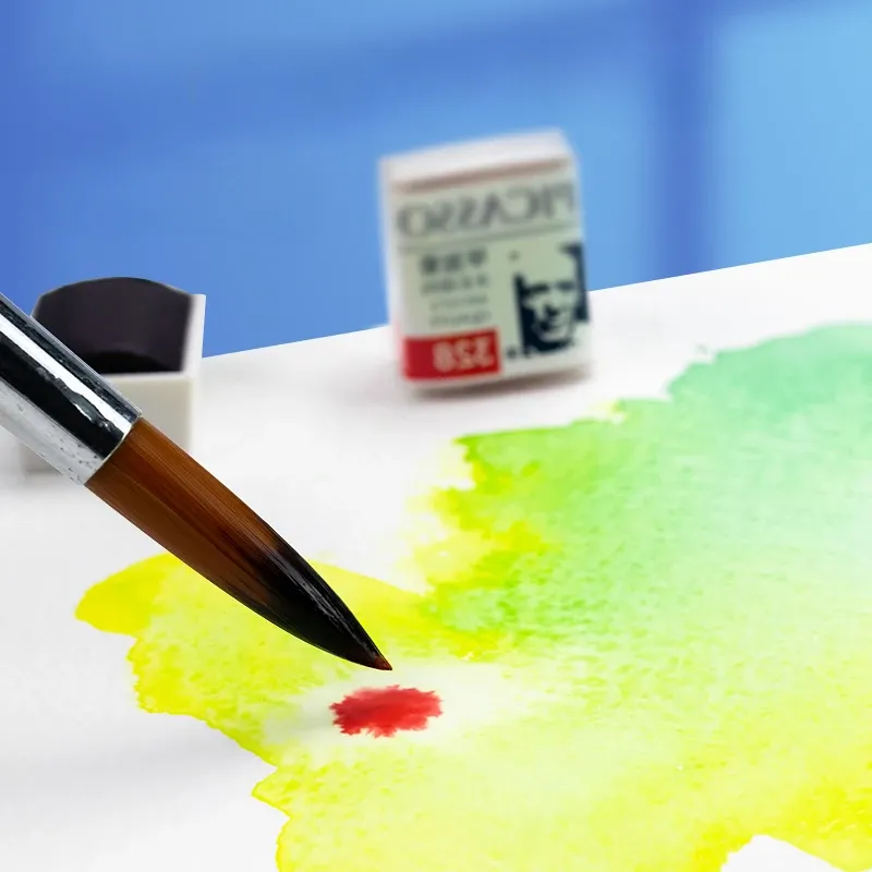 Picasso Watercolor Pigment Blocks 5