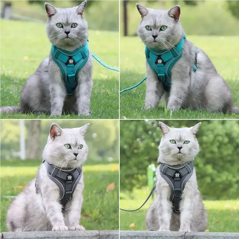 No-Pull Dog Harness & Leash Set 6