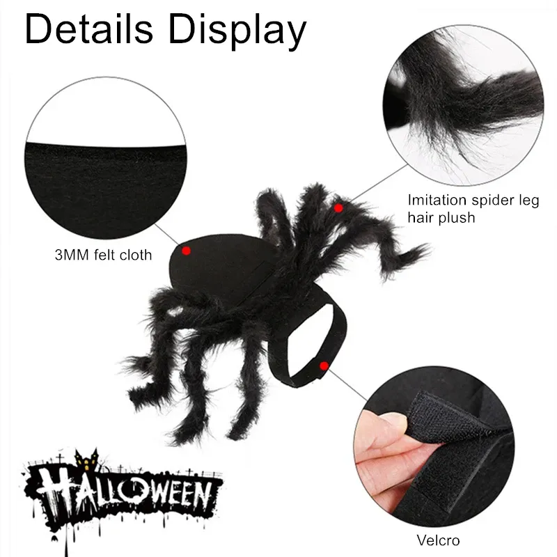 Halloween Spider Pet Costume 5
