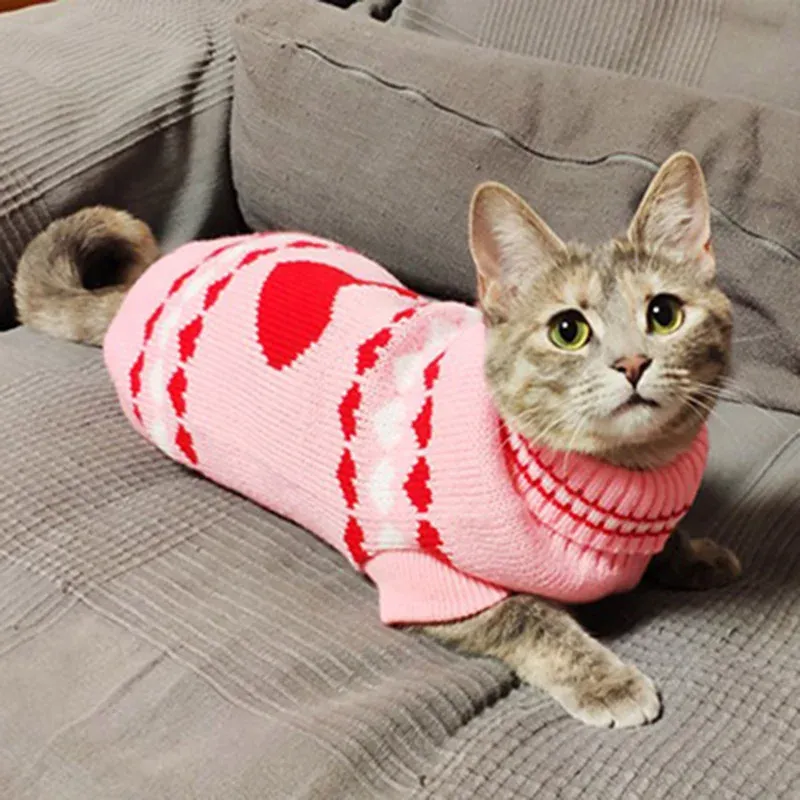 Sphynx Cat Winter Sweater Pullover 4