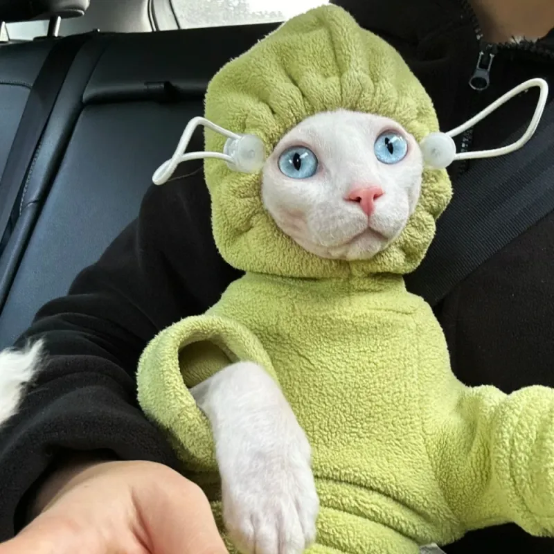 Sphynx Cat Fleece Hooded Sweater 1