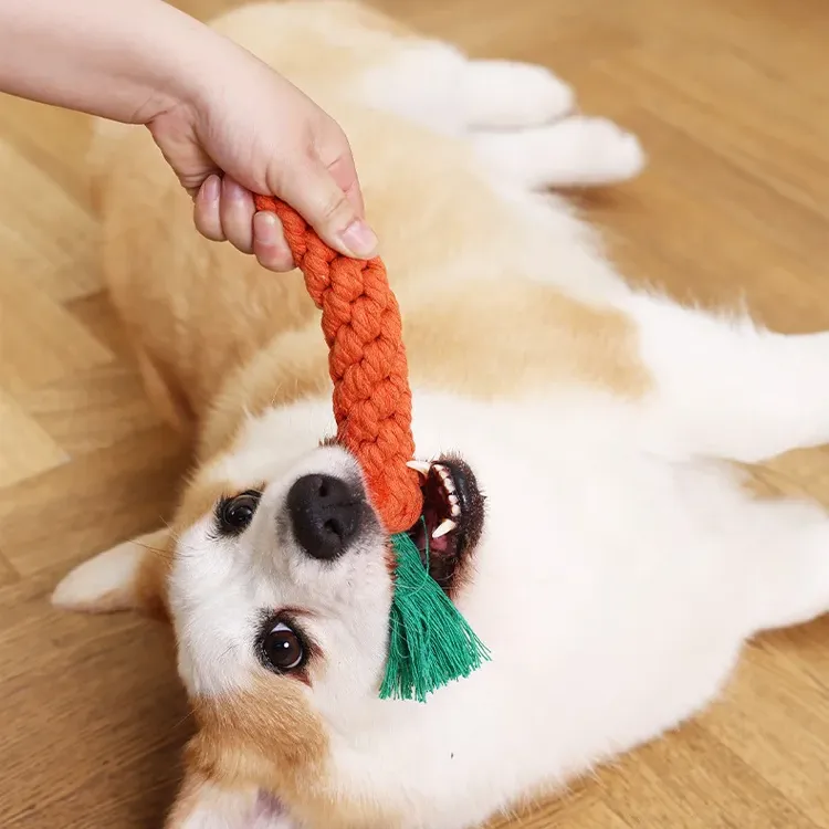 Carrot Rope Chew Toy for Puppies 5