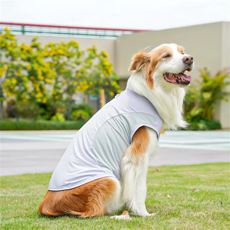 Ice Silk Cooling Puppy Vest 4