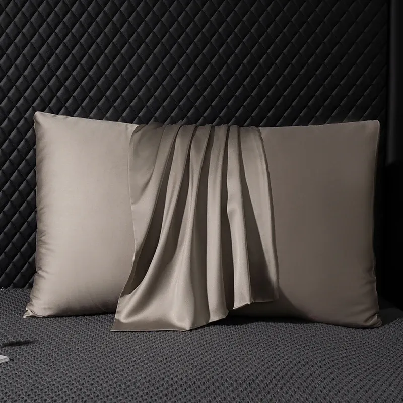 Mulberry Silk Envelope Pillowcase 5