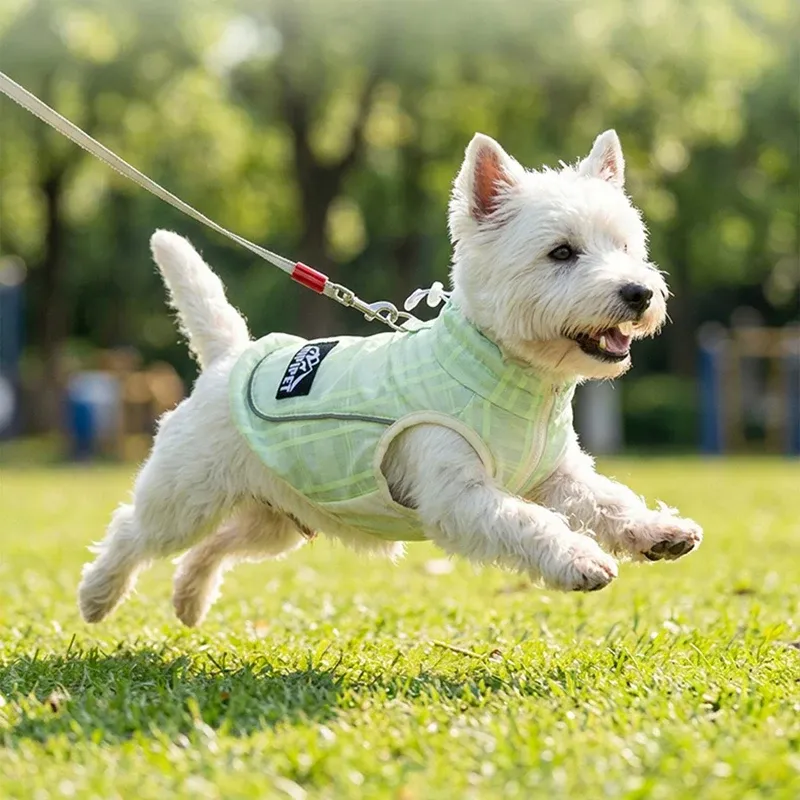 Breathable Summer Dog Cooling T-Shirt 1