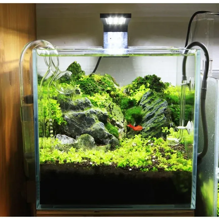 Chihiros C Series Nano Clip LED 5