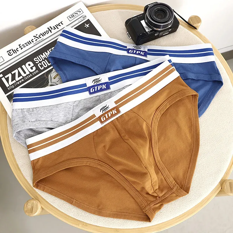 Men's Cotton Triangle Brief Underwear 2