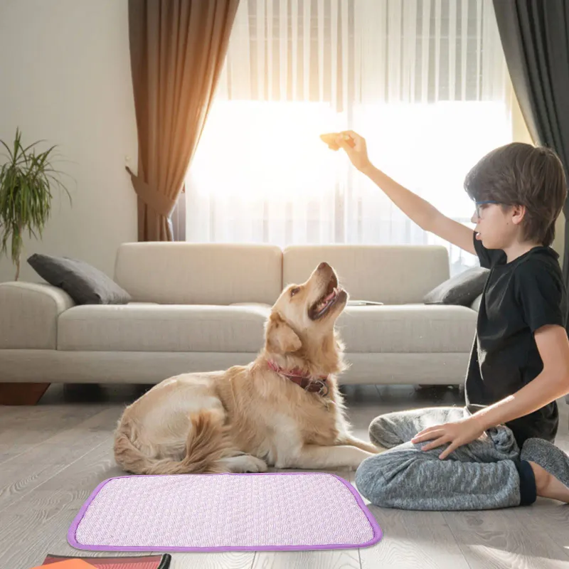 Small Pet Cooling Mat Pad 3