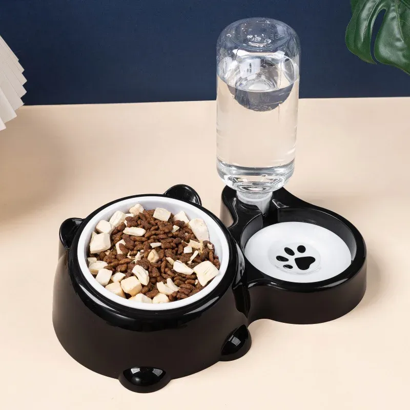 2-in-1 Tilted Elevated Pet Water & Food Bowl 2