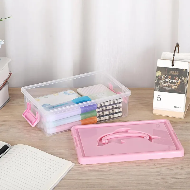 Clear Plastic Storage Box with Lid 2