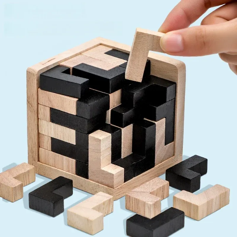 Impossible Wooden IQ Puzzle Game 5