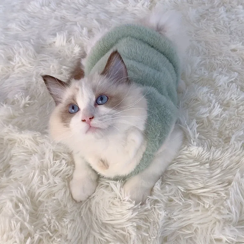 Warm Winter Pet Sweater Vest 4
