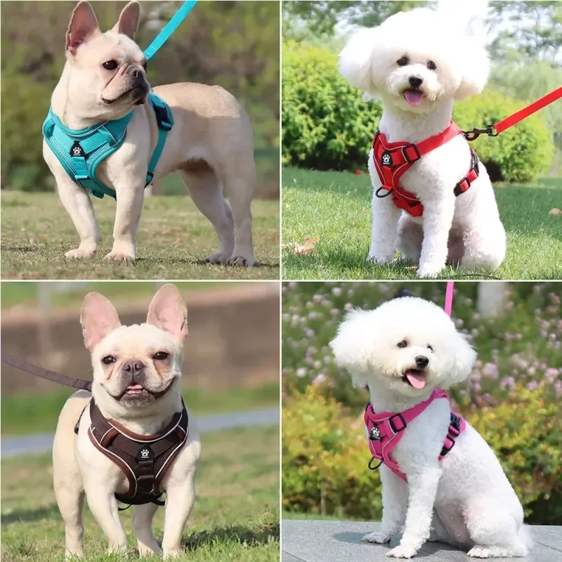 No-Pull Dog Harness & Leash Set 2