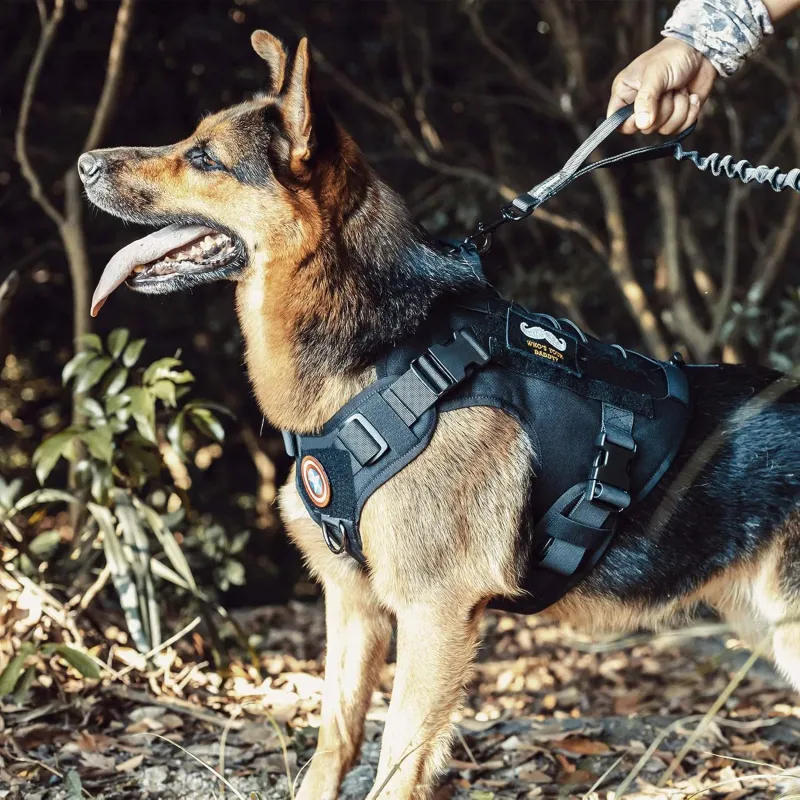 Tactical No-Pull Dog Harness with Handle 6